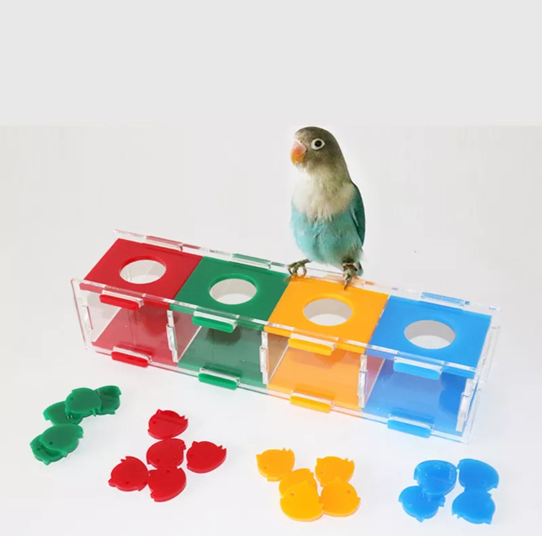 Vogelspeelgoed Intelligentie Training - Kleuren Sorteren - Parkieten S –