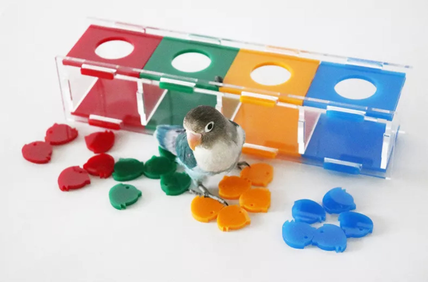 Vogelspeelgoed Intelligentie Training - Kleuren Sorteren - Parkieten Speelgoed