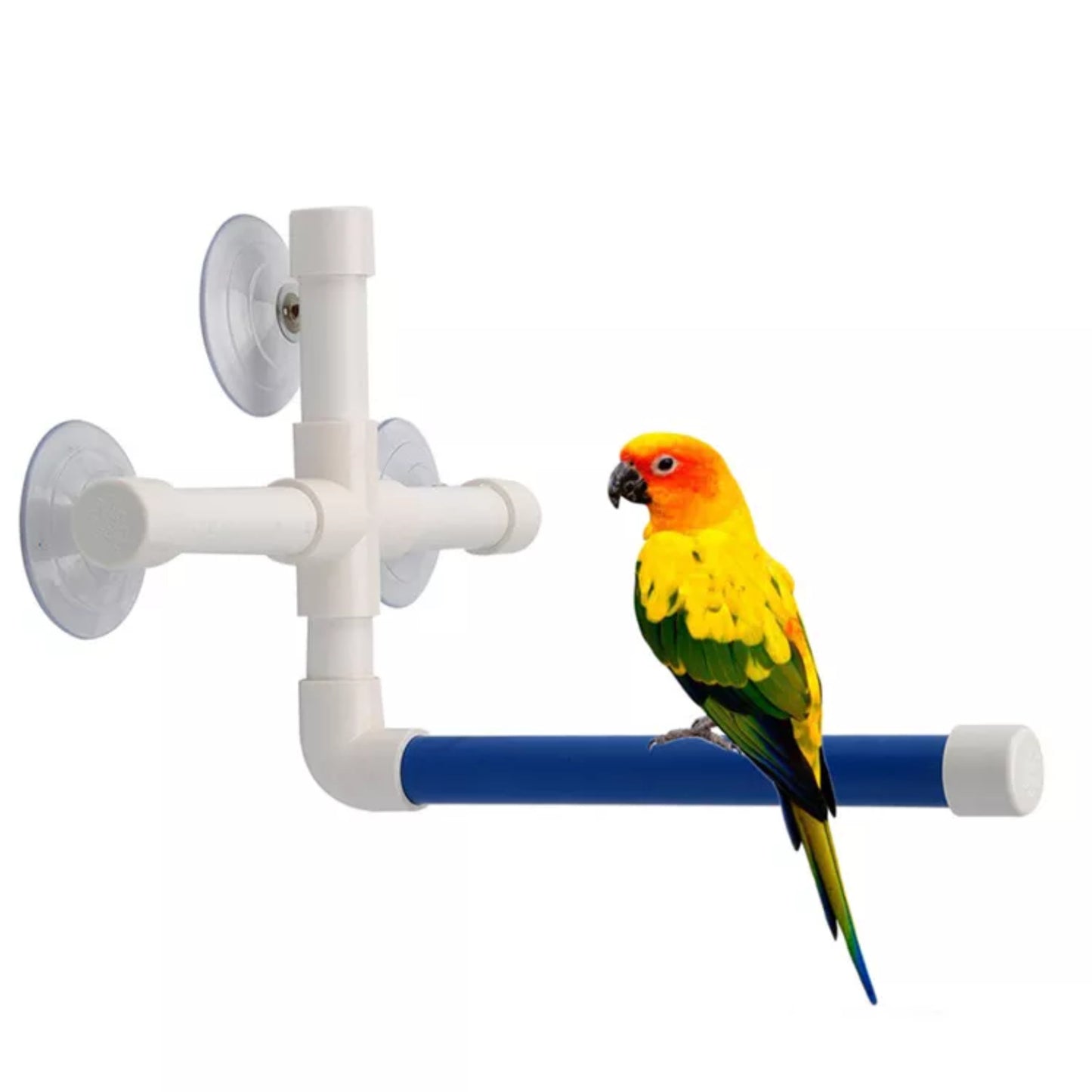 Vogel Zitstok met Zuignappen - Vogelspeelgoed