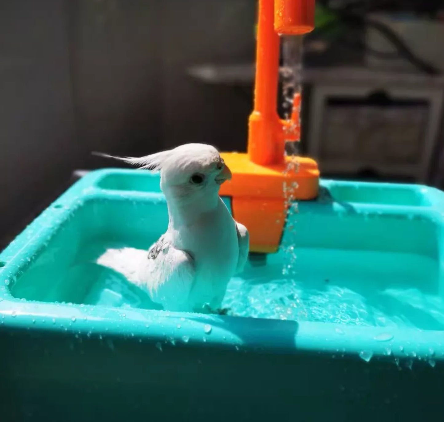 Vogelspeelgoed - Vogelbadje met Douche - Elektrische Wastafel - Roze